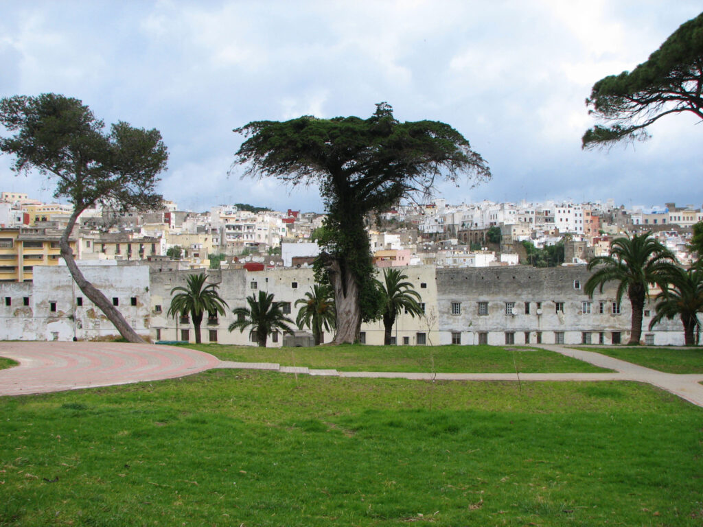 Palais Mendoubia ,bulle verdoyante au cœur de Tanger.