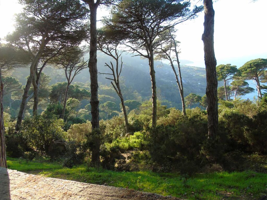 Le parc Perdicaris , également connu sous le nom de forêt de Rmilat